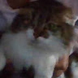 Avatar of user NevaehaG