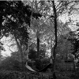 Avatar of user Forget_me_not