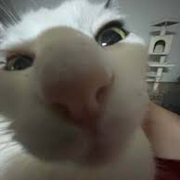 Avatar of user Jamesbaster