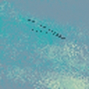 Cover of album Still. (haven't learned to keep my calm) by THE BIRDS WRIGHT