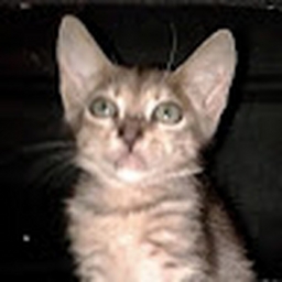 Avatar of user Aak1213