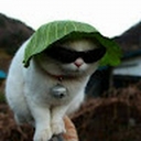 Avatar of user Rye_Bread118