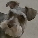 Avatar of user Algythewolf