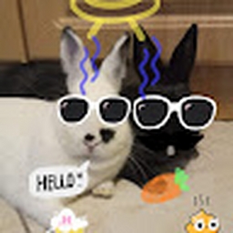 Avatar of user Szabi0819