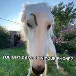 Avatar of user Korii