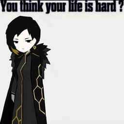 Avatar of user ProjectMoonFan