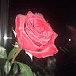 Avatar of user beforem4ri