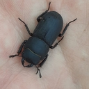 Avatar of user Deremor