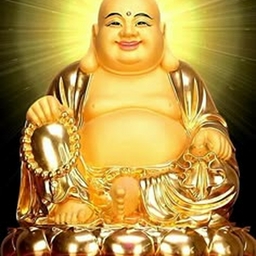 Avatar of user Envixity