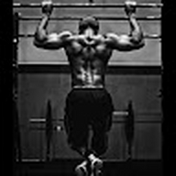 Avatar of user BRANIIXMUSIC