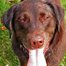 Avatar of user Avery015