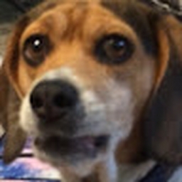 Avatar of user leonaprairie