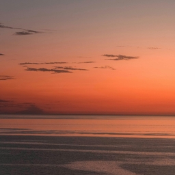 Avatar of user 5IVESTARDRE