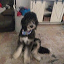 Avatar of user Dijiphos30