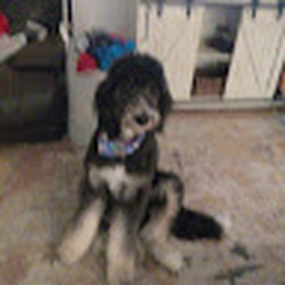 Avatar of user Dijiphos30