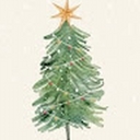 Avatar of user StarFish17