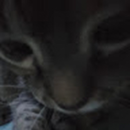 Avatar of user childpunter9