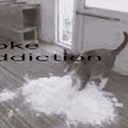 Avatar of user dnzths