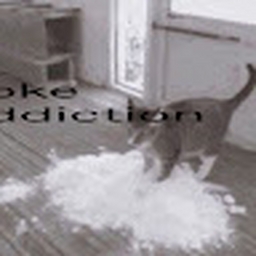 Avatar of user dnzths