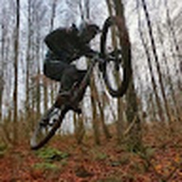 Avatar of user Voidedsoulz