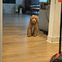 Avatar of user 6666t66