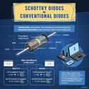 Avatar of user yoyyyyo