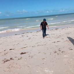 Avatar of user Mike Rider