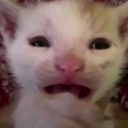 Avatar of user imscrewed