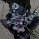 Avatar of user Mimi01002