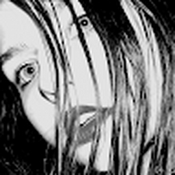 Avatar of user wikabr