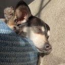 Avatar of user rtoolan