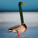 Avatar of user billy_bob_jones