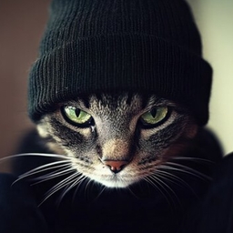 Avatar of user Godly_Lim