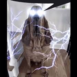 Avatar of user HakonbakonMusicmaster