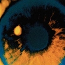 Avatar of user malafamaa