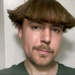 Avatar of user mrbeast67