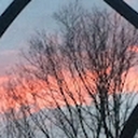 Avatar of user CharlotteCanterbury