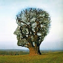 Avatar of user Nemchick