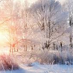 Avatar of user sakuena