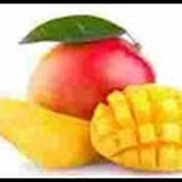 Avatar of user Bob41