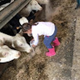 Avatar of user Kaiotje