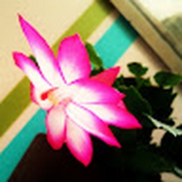 Avatar of user Kyugasan