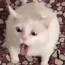 Avatar of user RoboSpeaker