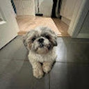 Avatar of user sarahwmatzen