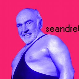 Avatar of user seandrethegiant