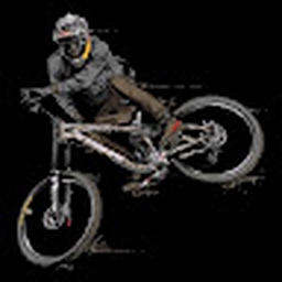 Avatar of user PONDERTHELILLIES