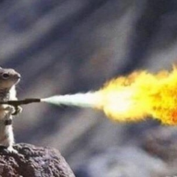 Avatar of user TheW1zard565