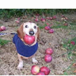 Avatar of user TWEAKER