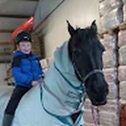 Avatar of user Duckieboys