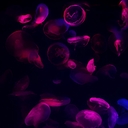 Avatar of user contextobject